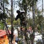 Foto de Estrella Castillo(11)