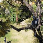 Foto de Estrella Castillo(2)