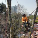 Foto de Estrella Castillo(3)