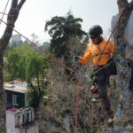 Foto de Estrella Castillo(5)