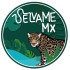 logo-selvameMX