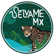 logo-selvameMX